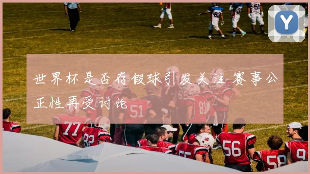 世界杯是否存假球引发关注 赛事公正性再受讨论